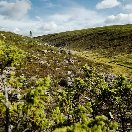 Дом отдыха Norlight - Tuli Ивало