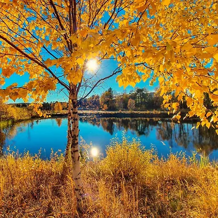 Дом отдыха Norlight - Tuli *