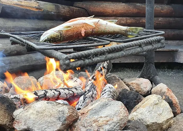 Hébergement de vacances Norlight - Tuli *