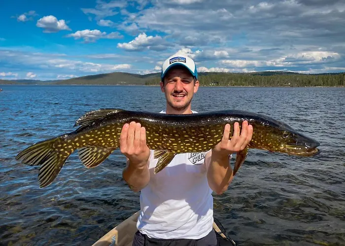 Semesterbostad Norlight - Tuli *