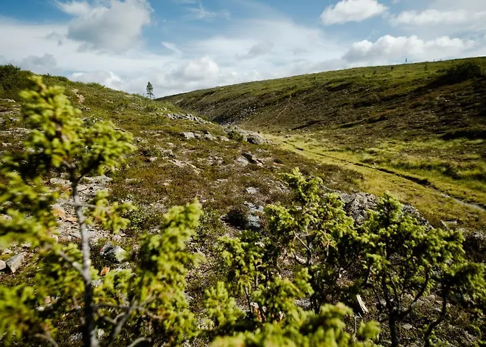 Hébergement de vacances Norlight - Tuli Ivalo