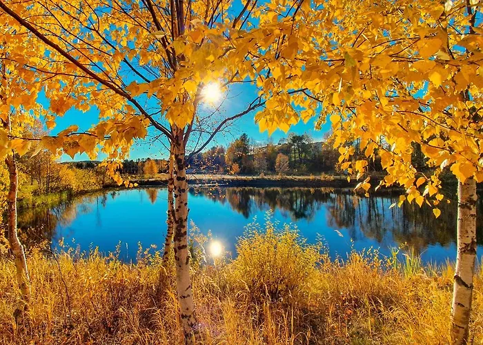 Semesterbostad Norlight - Tuli *